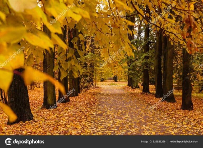 Top 10 Activities to Enjoy in Colorado Springs in October – Don’t Worry ...