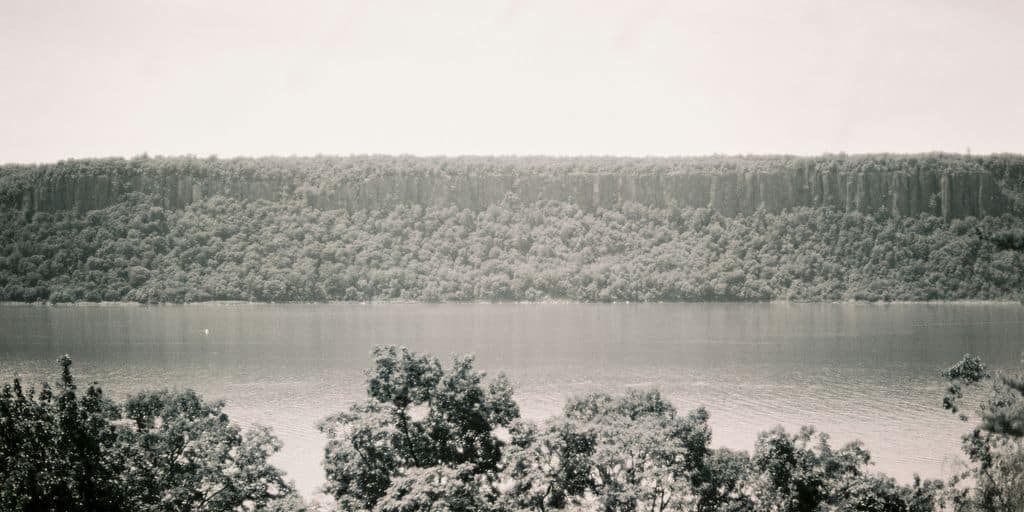 green trees near body of water during daytime